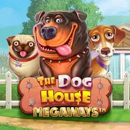 The Dog House Megaways gra w Ampm Casino dla graczy z Polski The Dog House Megaways gra w Ampm Casino dla graczy z Polski