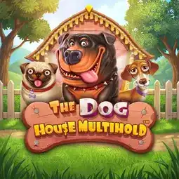 The Dog House Multihold gra w Ampm Casino dla graczy z Polski The Dog House Multihold gra w Ampm Casino dla graczy z Polski